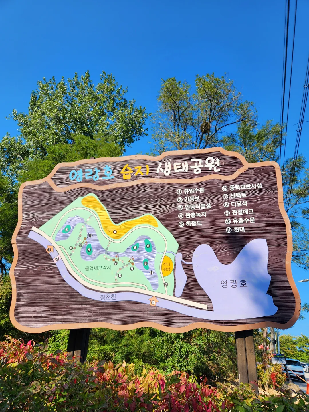 영랑호 어린이 생태 체험공원 사진 13