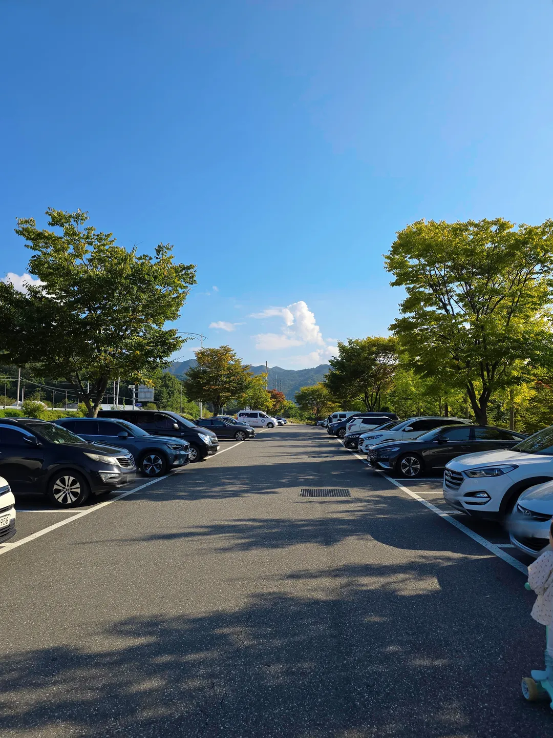 행구수변공원 사진 17
