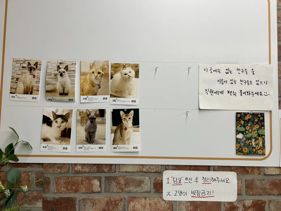 A Day of Butler Yeonnam Branch photo 9