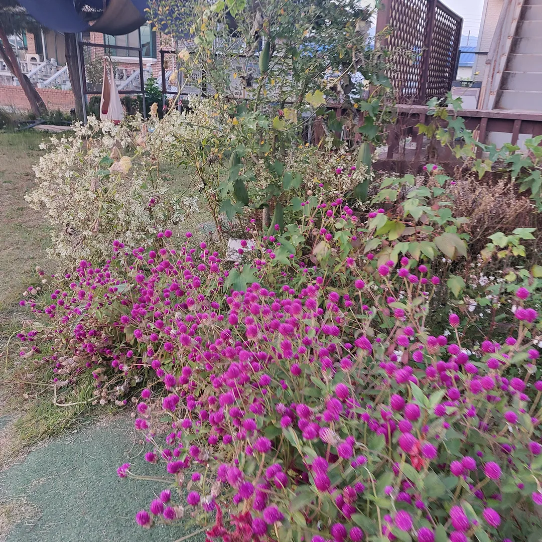 비틀즈자연학교 사진 6