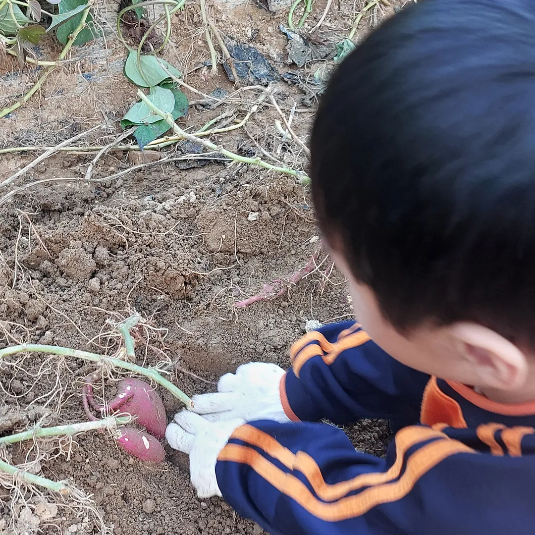 비틀즈자연학교 사진 9