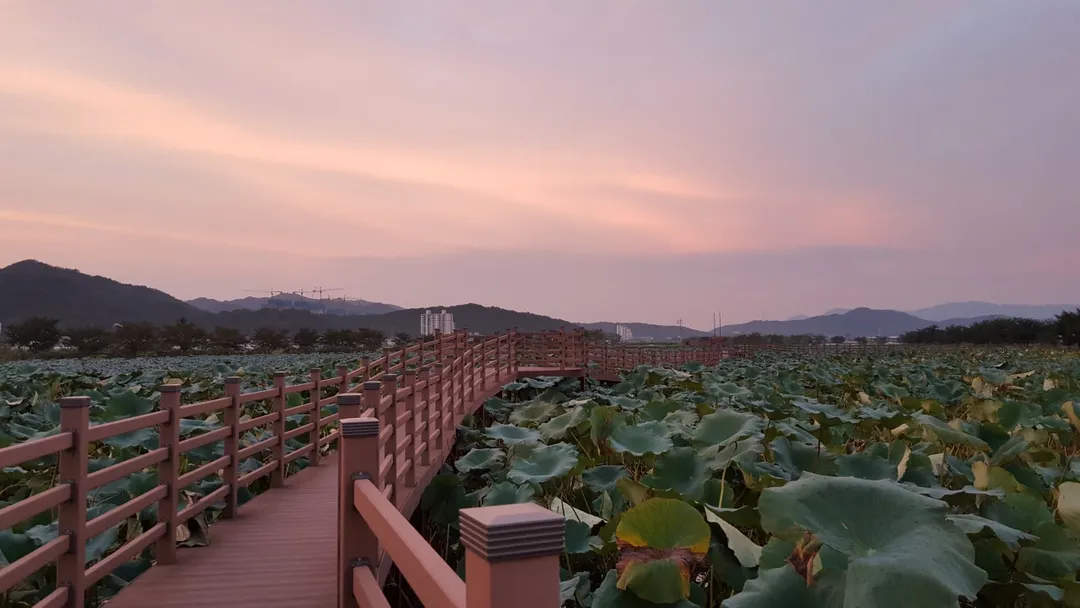 지산샛강생태공원