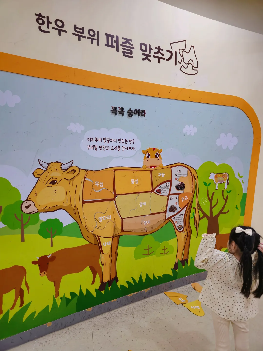 횡성한우체험관 사진 6