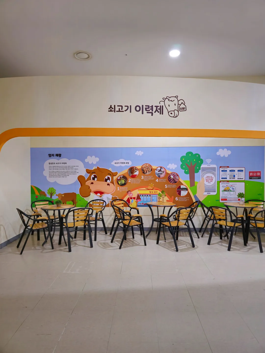 횡성한우체험관 사진 24