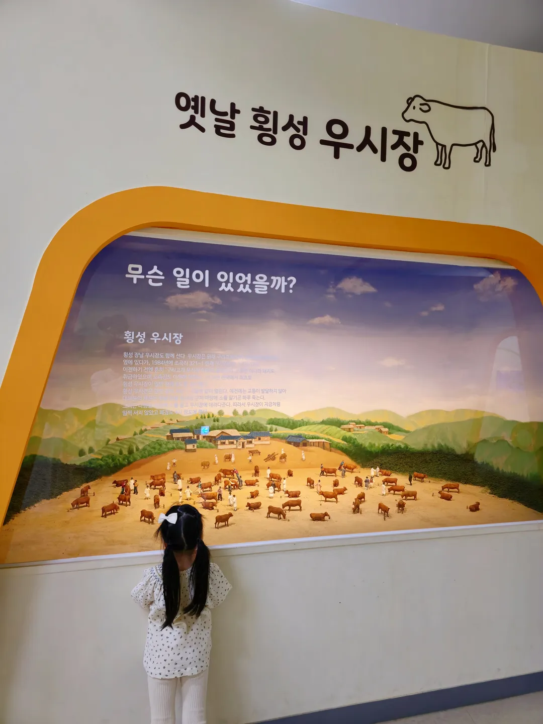 횡성한우체험관 사진 13