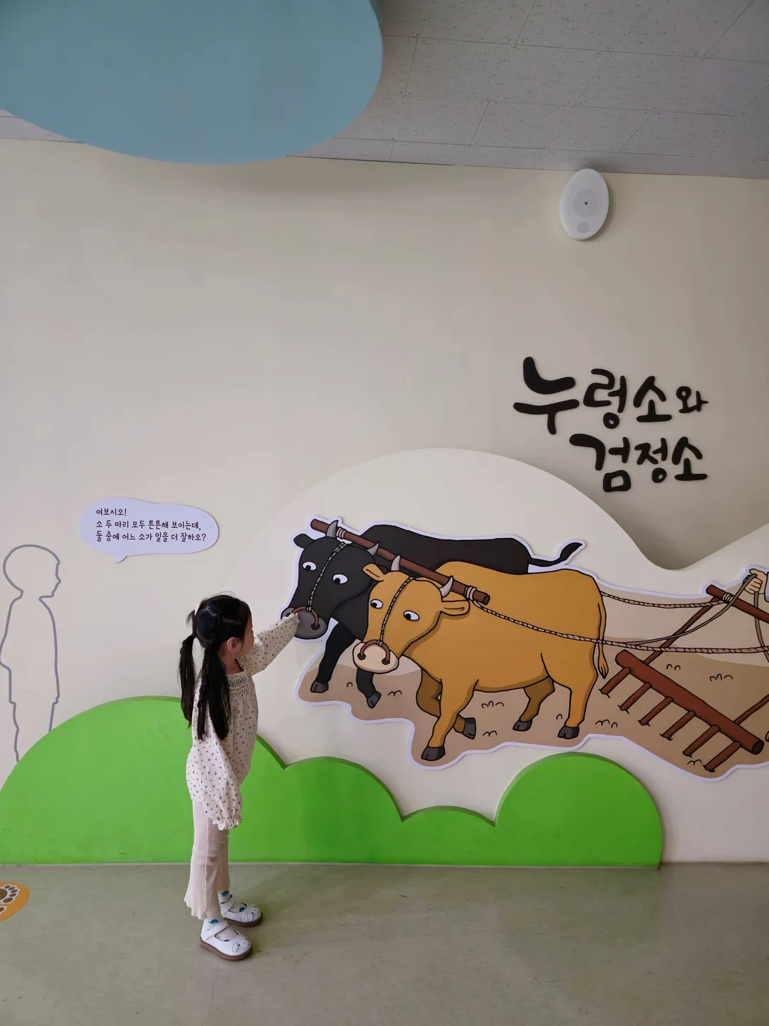 횡성한우체험관 사진 10