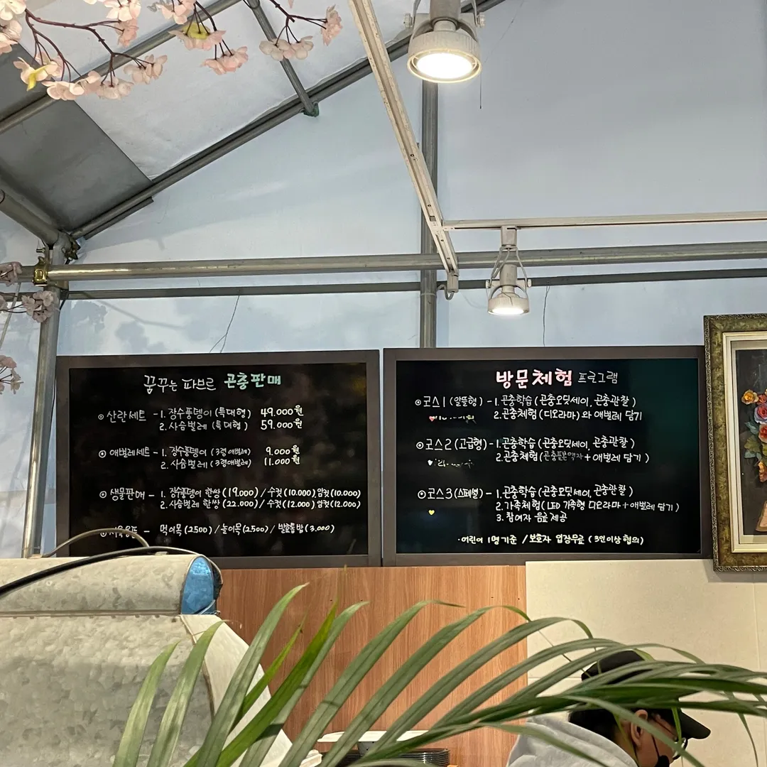 꿈꾸는 파브르 곤충체험농장 사진 12