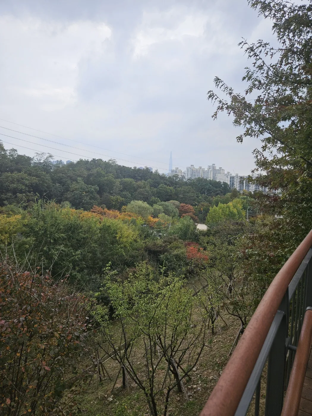 일자산허브천문공원 사진 15