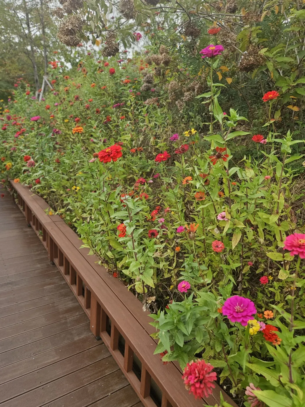 일자산허브천문공원 사진 12