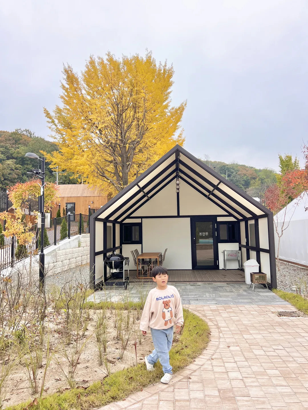 아낌없이주는나무