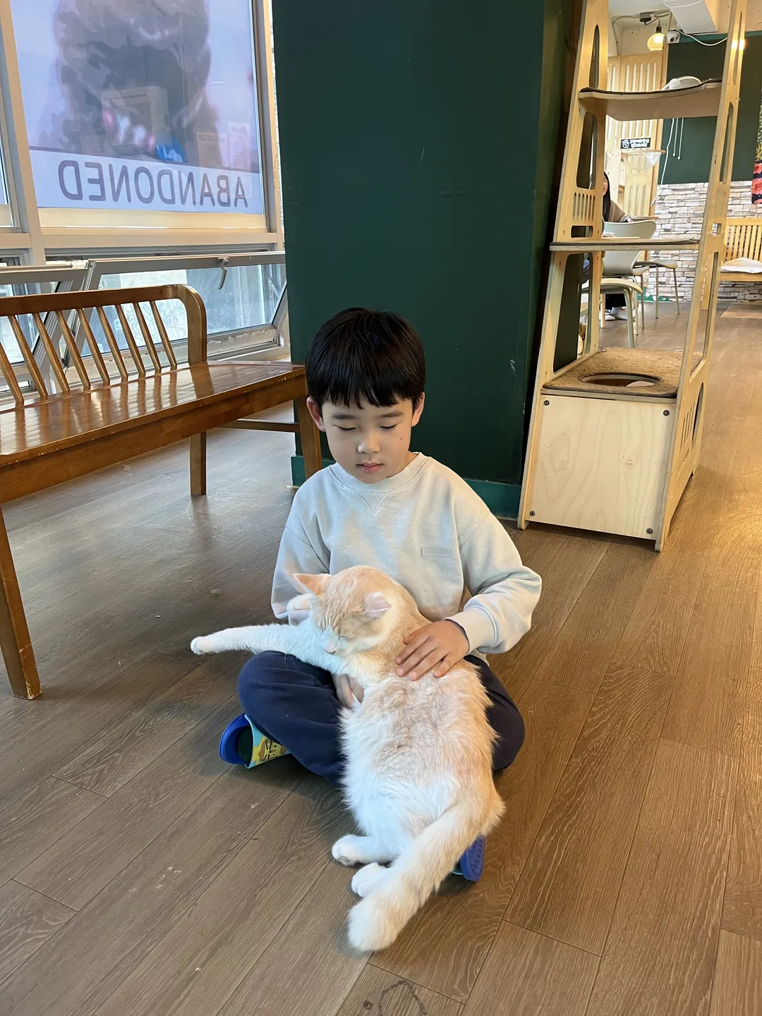 집사의하루 홍대점