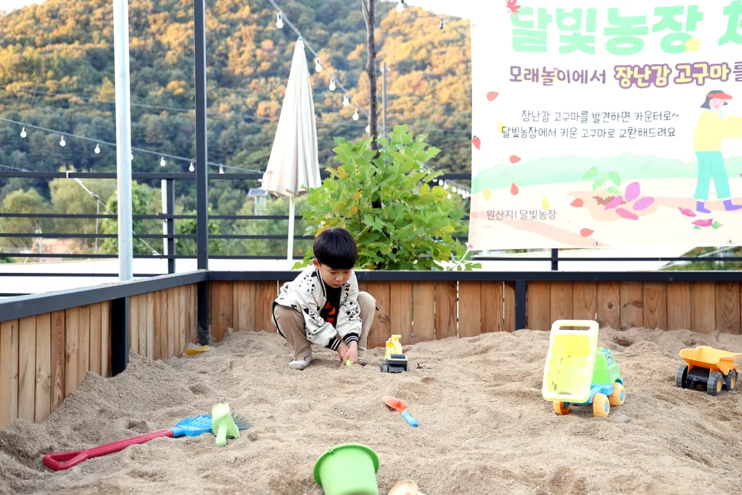 달빛그릴캠핑 사진 7