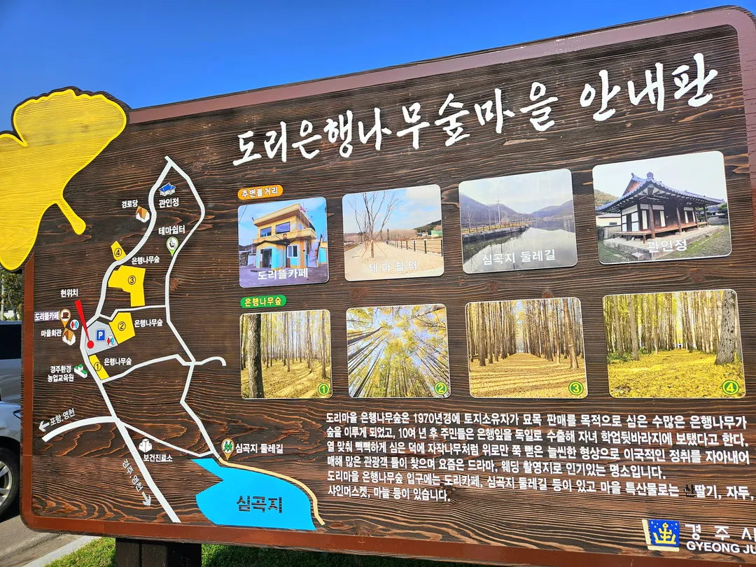 도리마을 사진 7