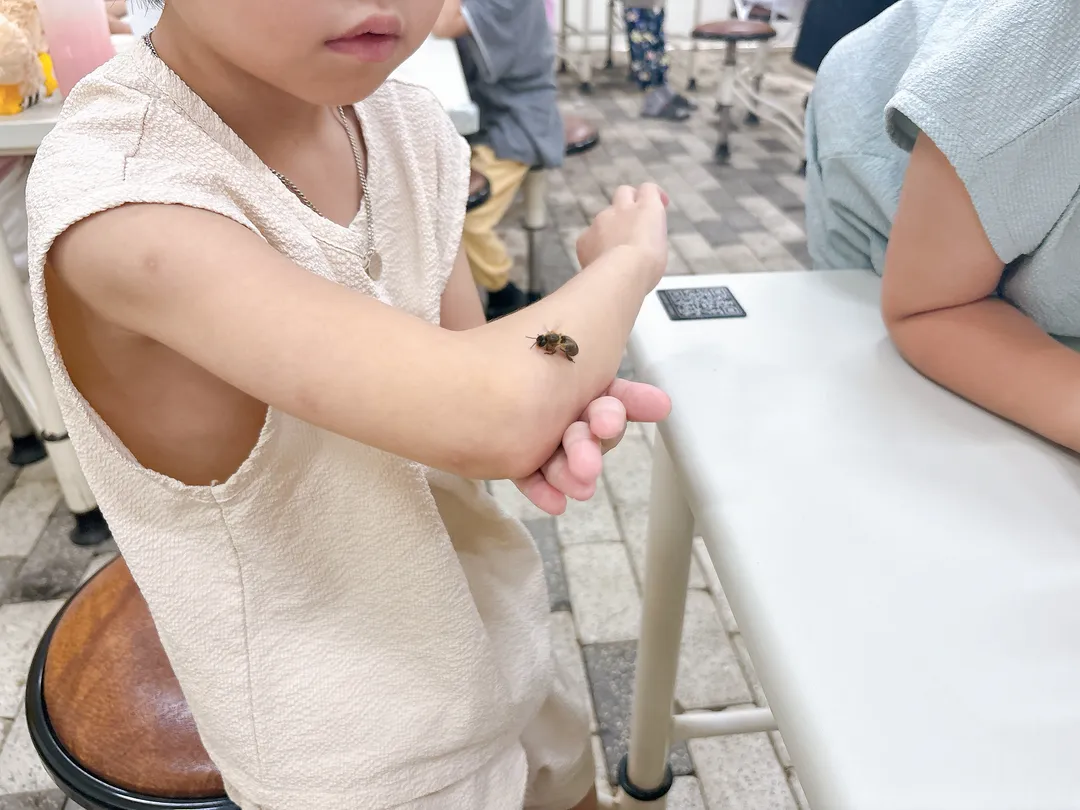 칠곡꿀잼농장 꿀벌인 사진 6