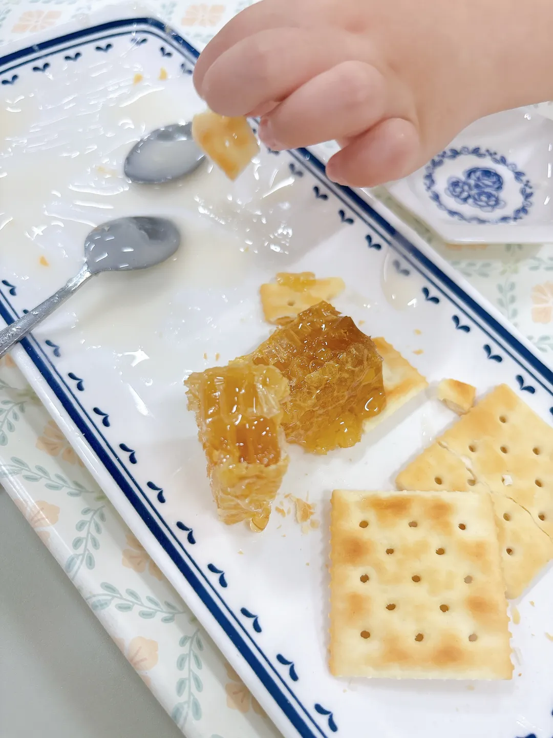 칠곡꿀잼농장 꿀벌인 사진 11