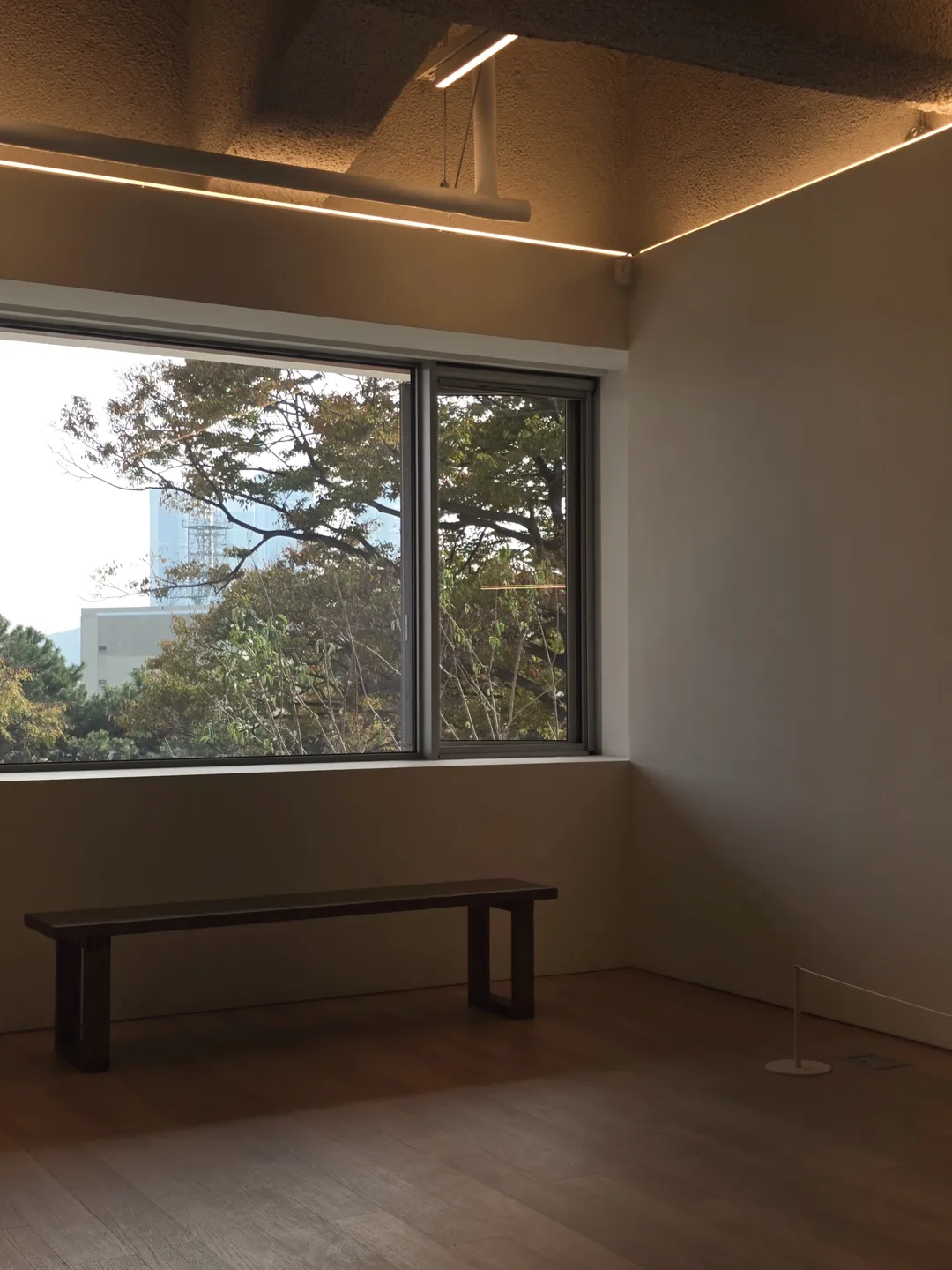 모모스커피 도모헌점 사진 12