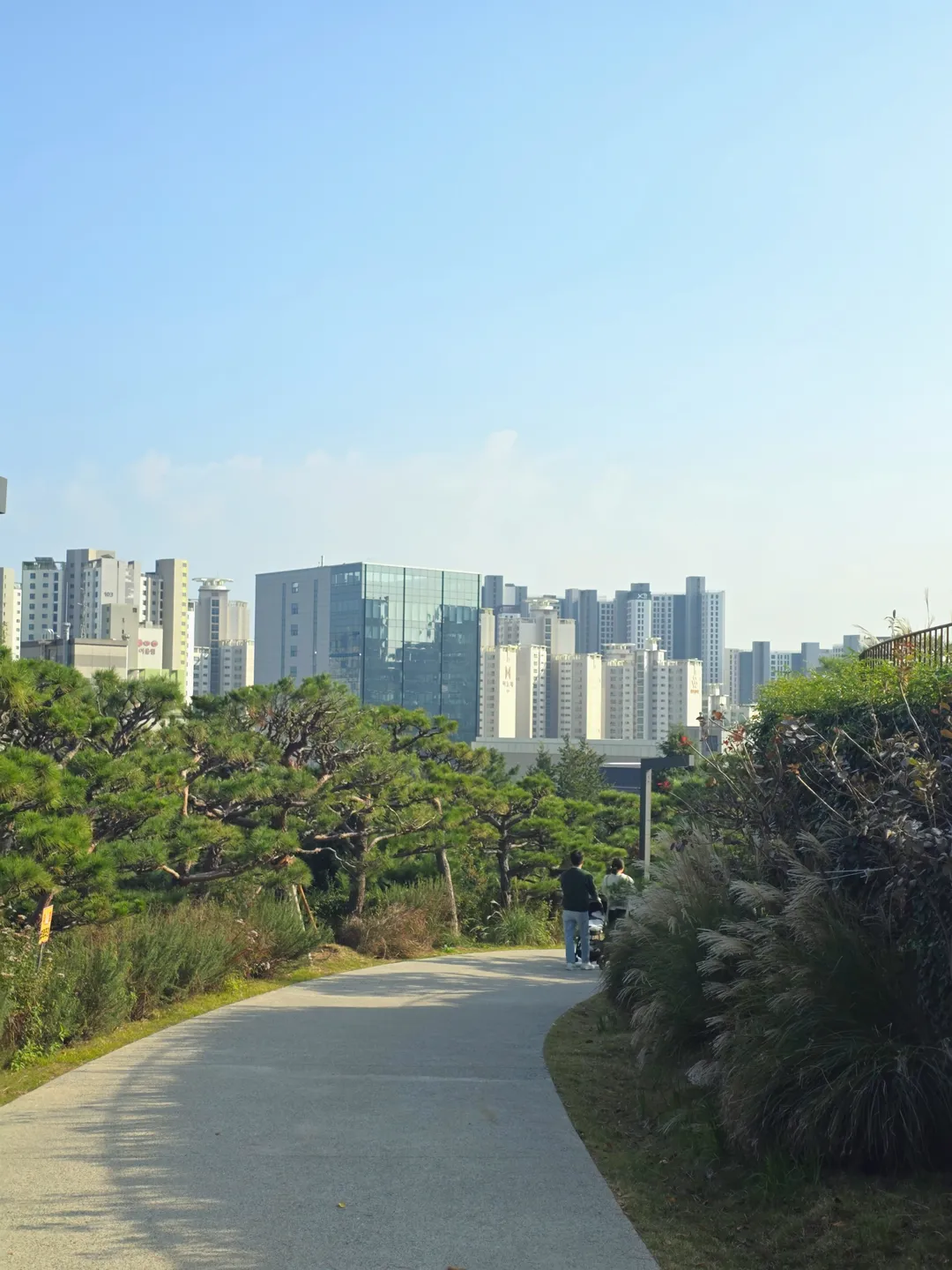 모모스커피 도모헌점 사진 6