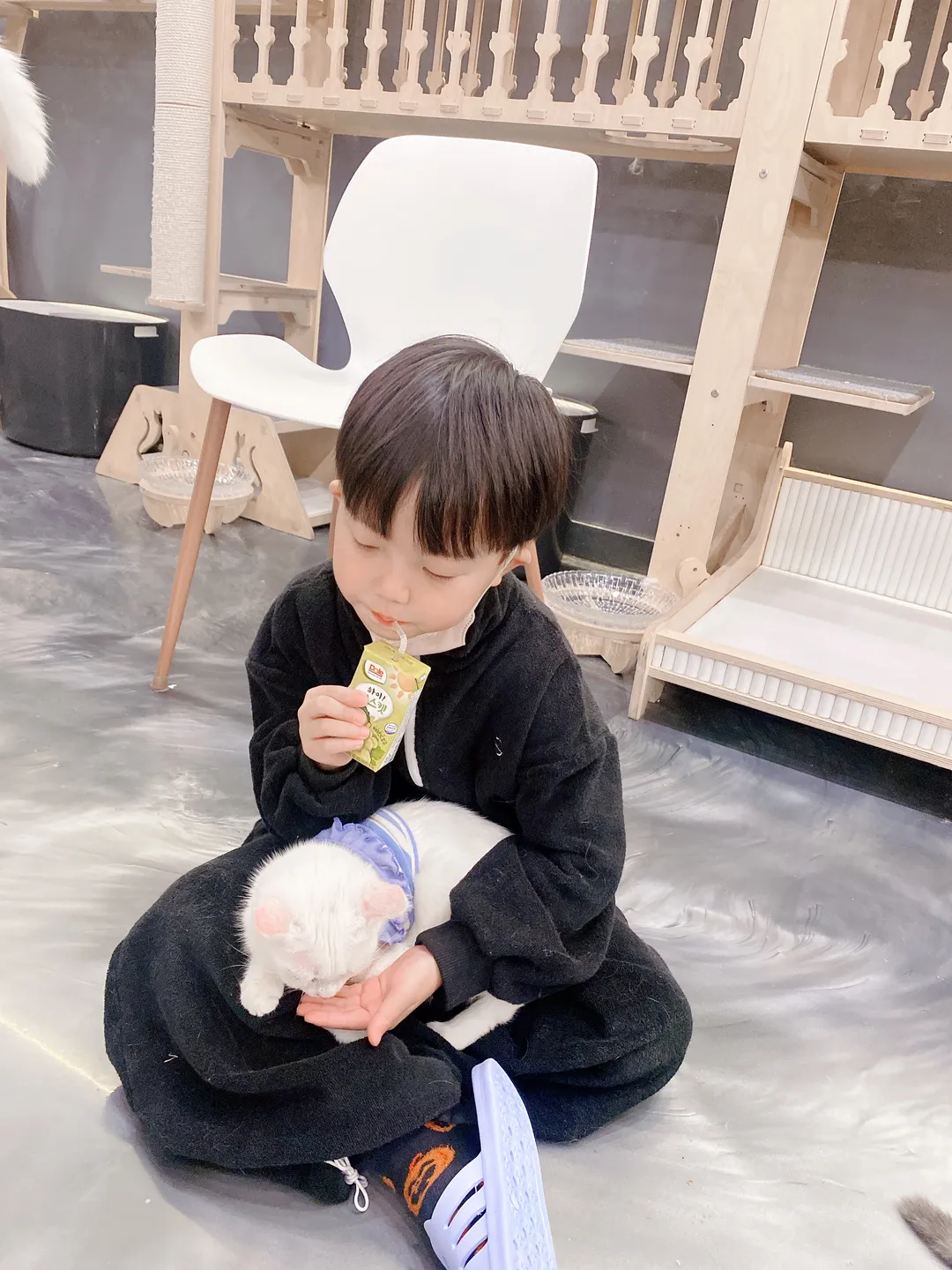 캣다방 사진 11