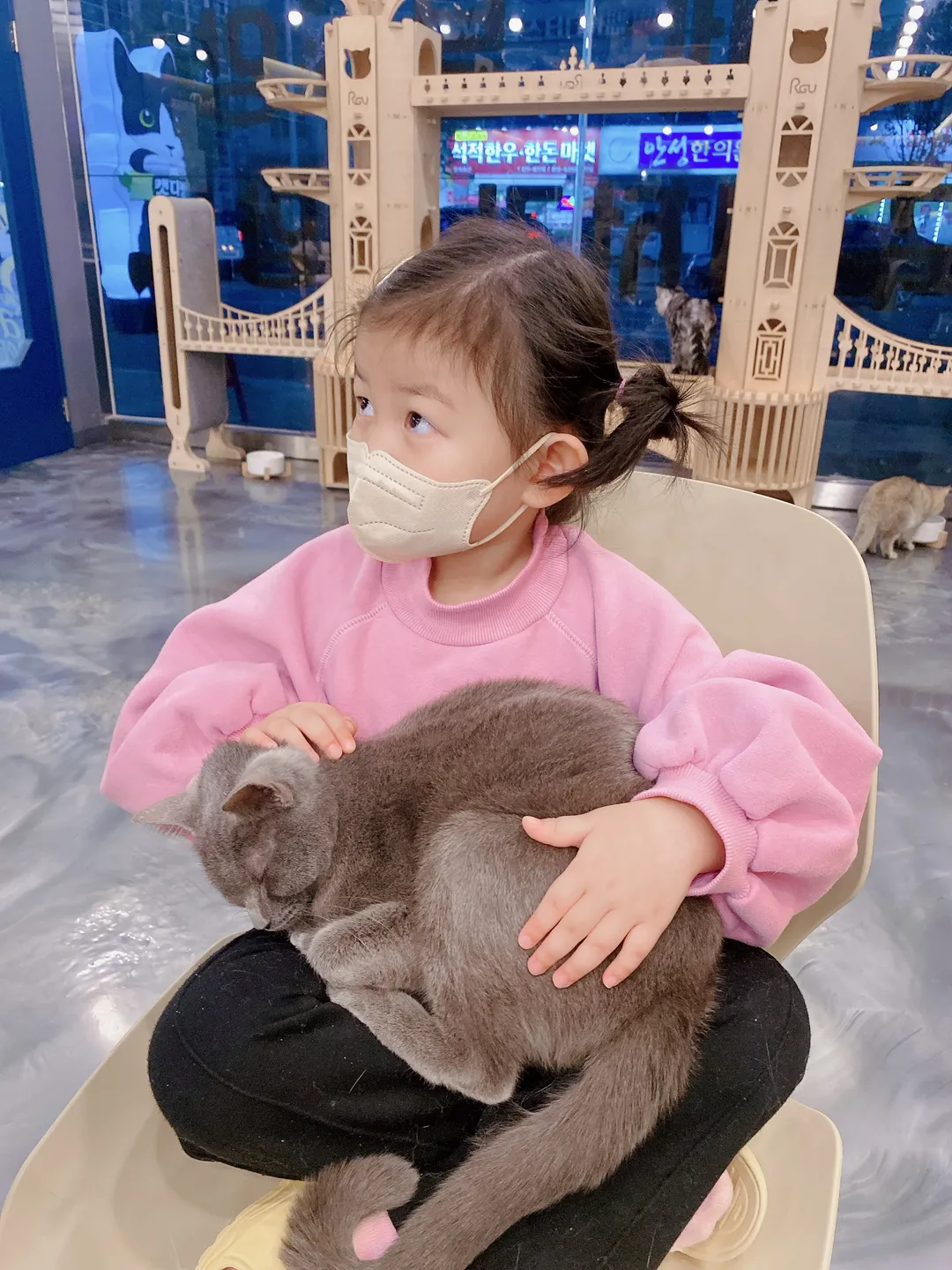 캣다방