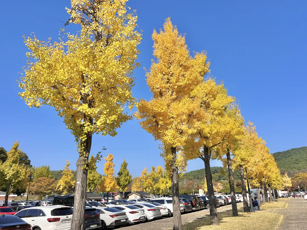 현충사 사진 7