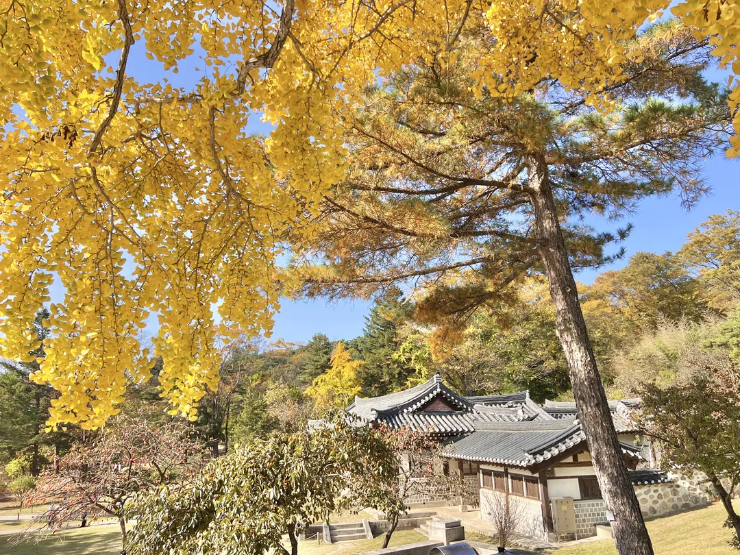 현충사 사진 6