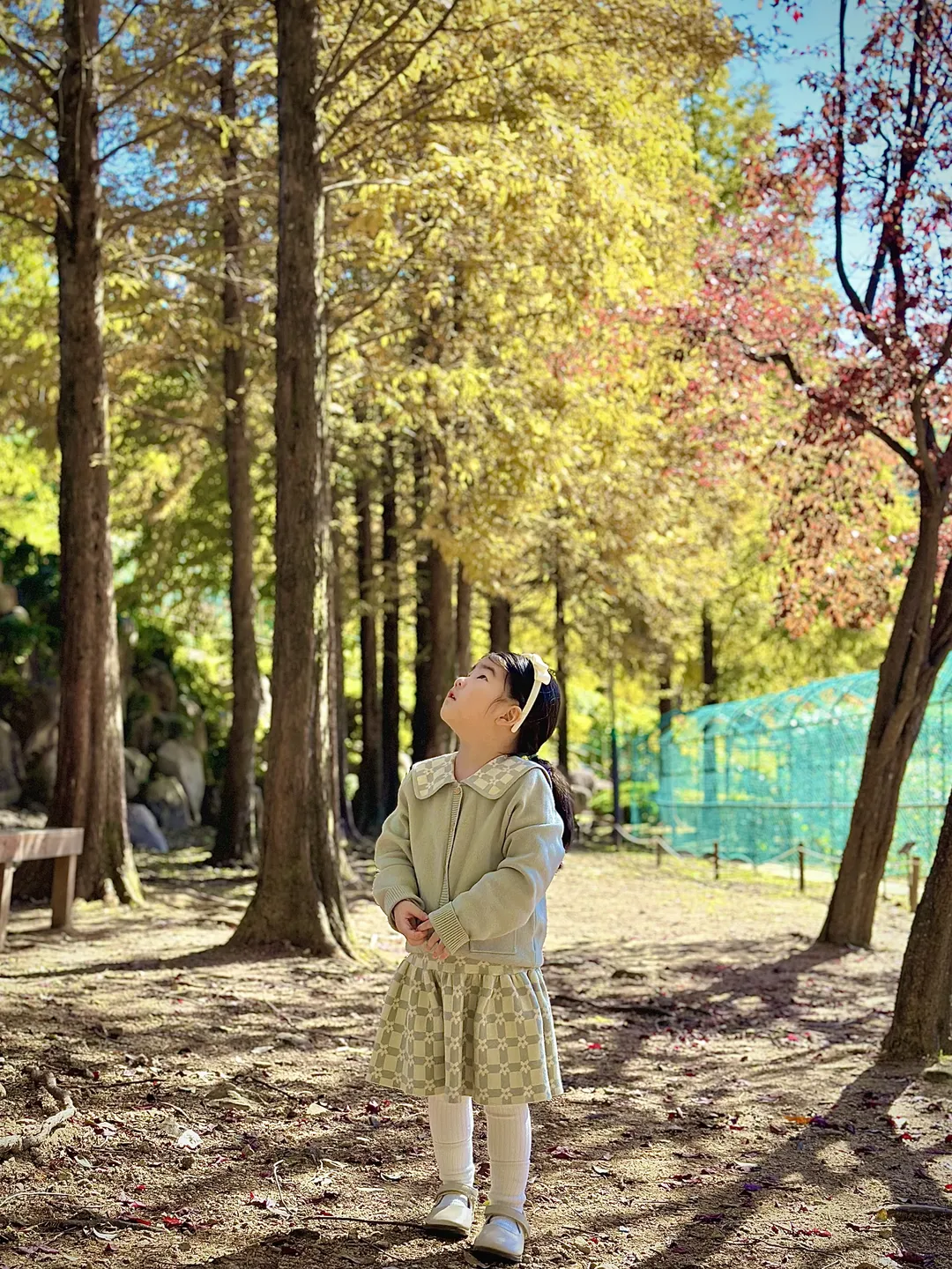 <단풍 명소> 화명수목원