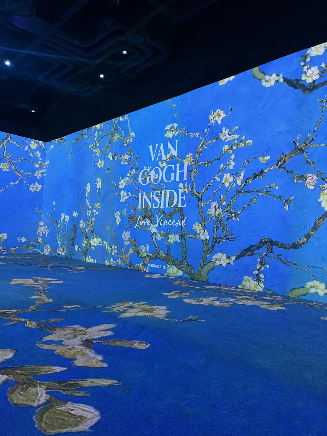 <Exhibition> Van Gogh Inside: Love Vincent (~Open Run) photo 8
