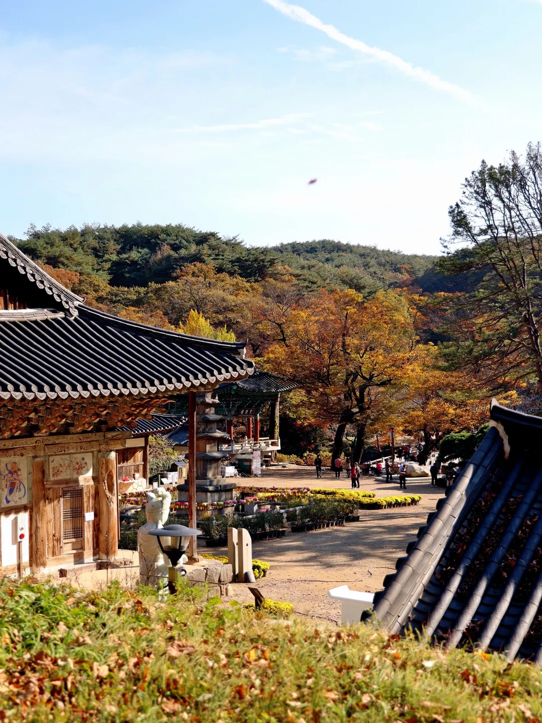 마곡사 사진 8