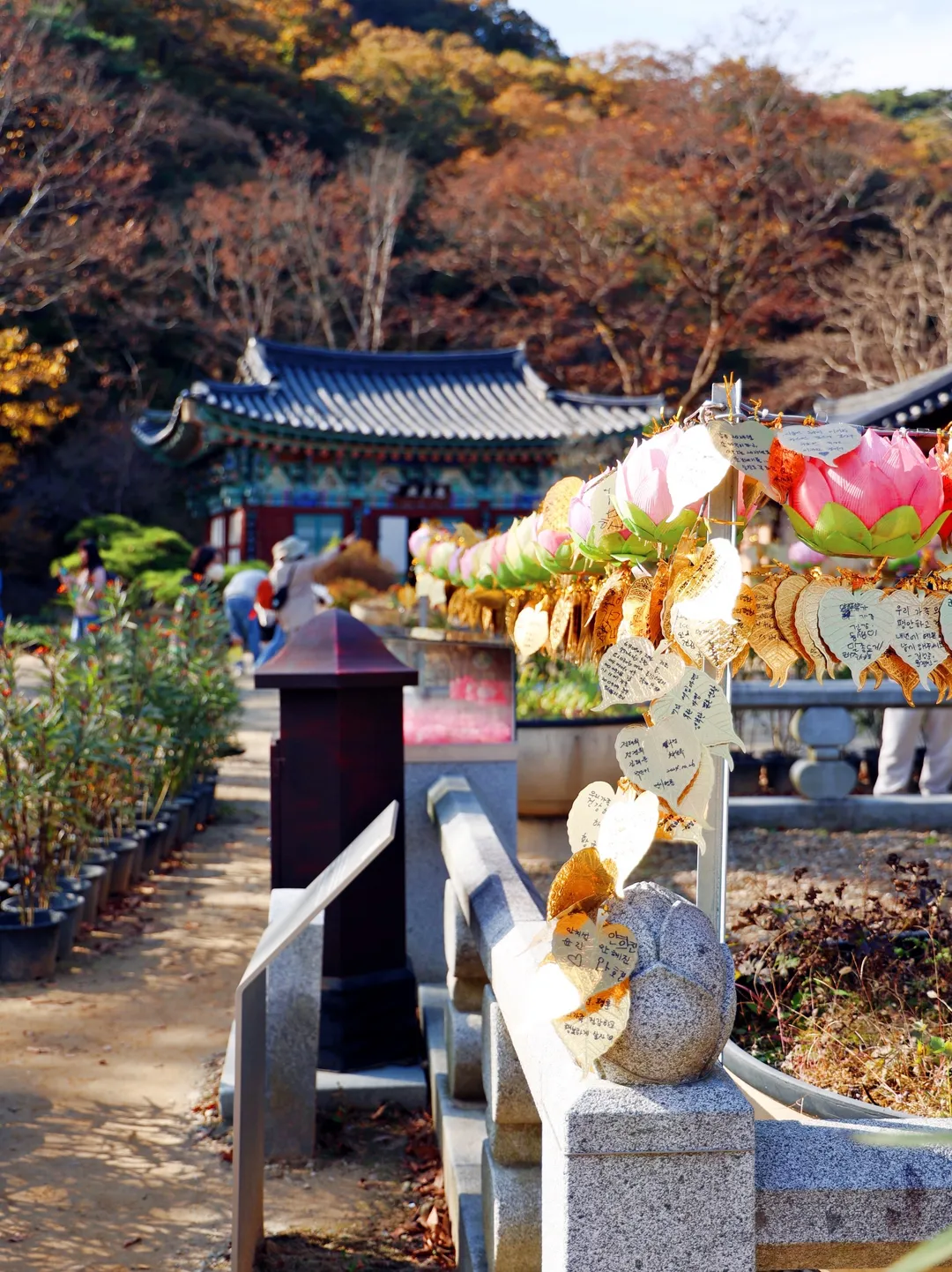 마곡사 사진 9