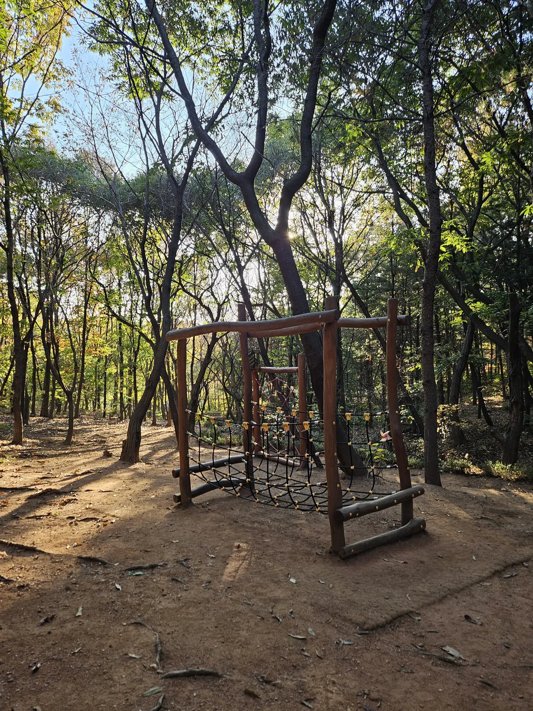안곡습지공원 유아숲체험원 사진 14