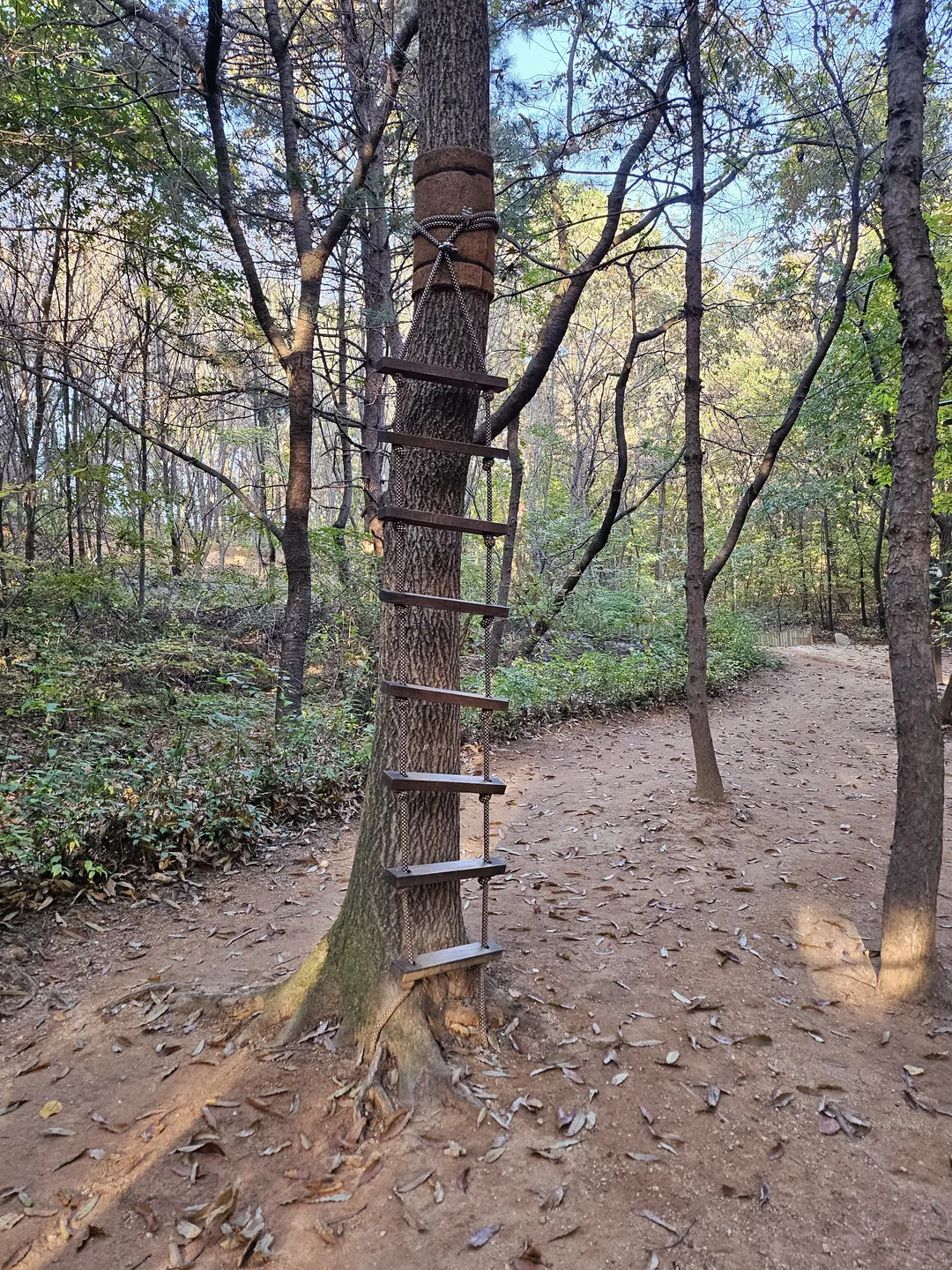 안곡습지공원 유아숲체험원 사진 10
