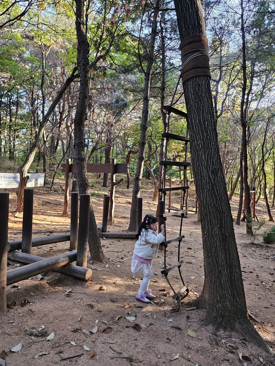 안곡습지공원 유아숲체험원 사진 7