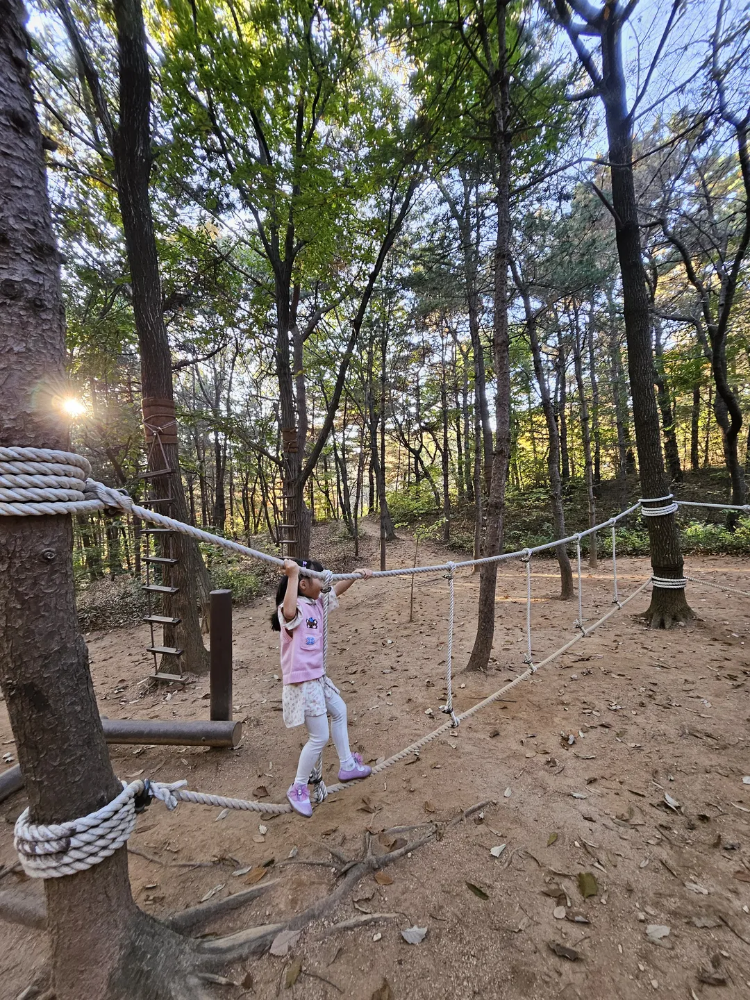 안곡습지공원 유아숲체험원 사진 6