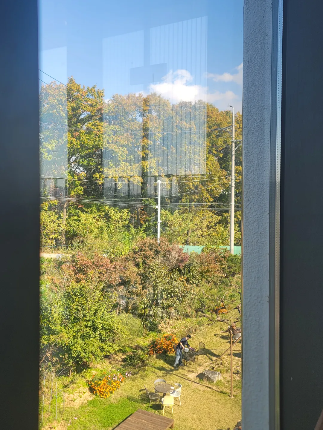 메종드노엘 사진 9