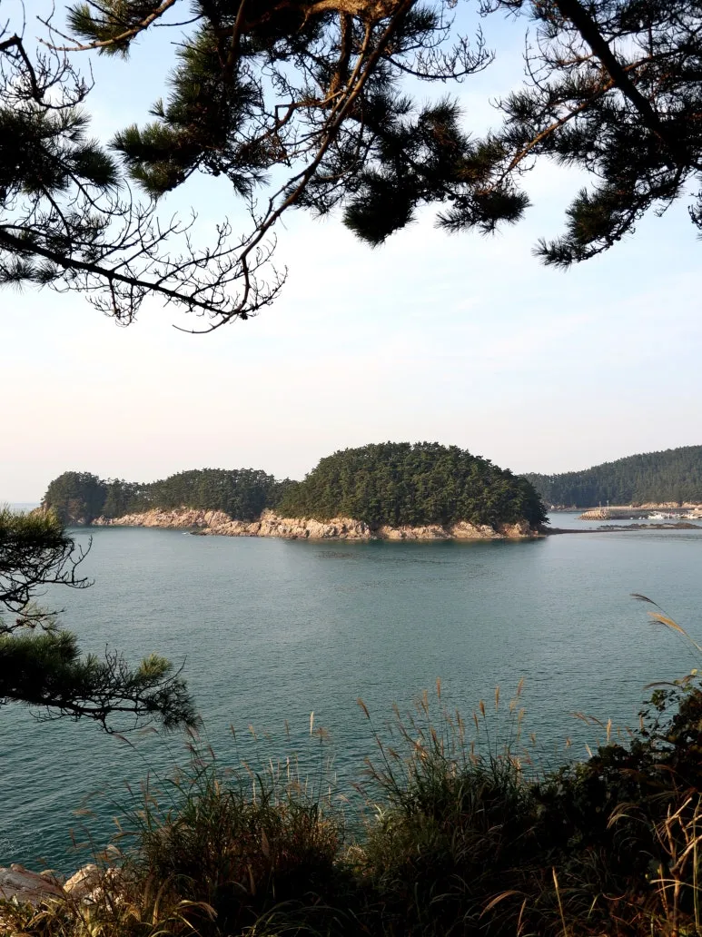 닭섬