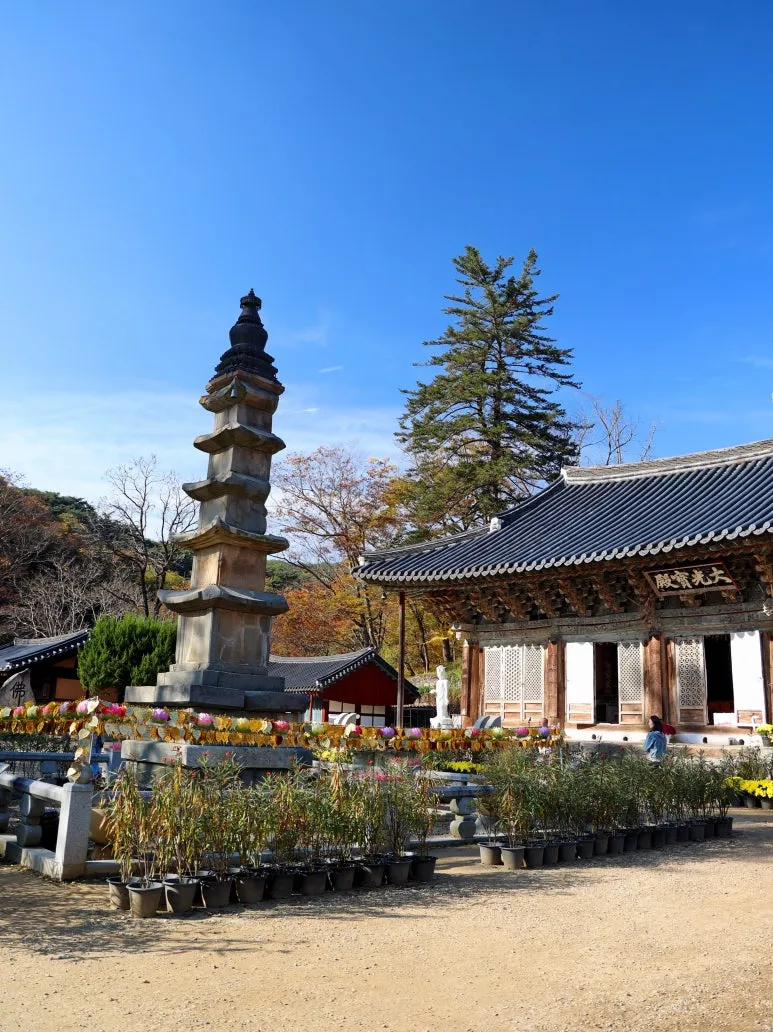 마곡사 사진 14