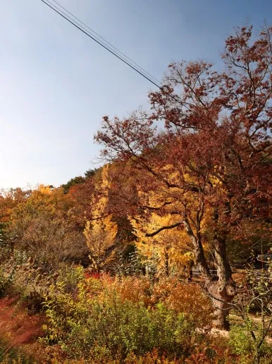 마곡사 사진 6