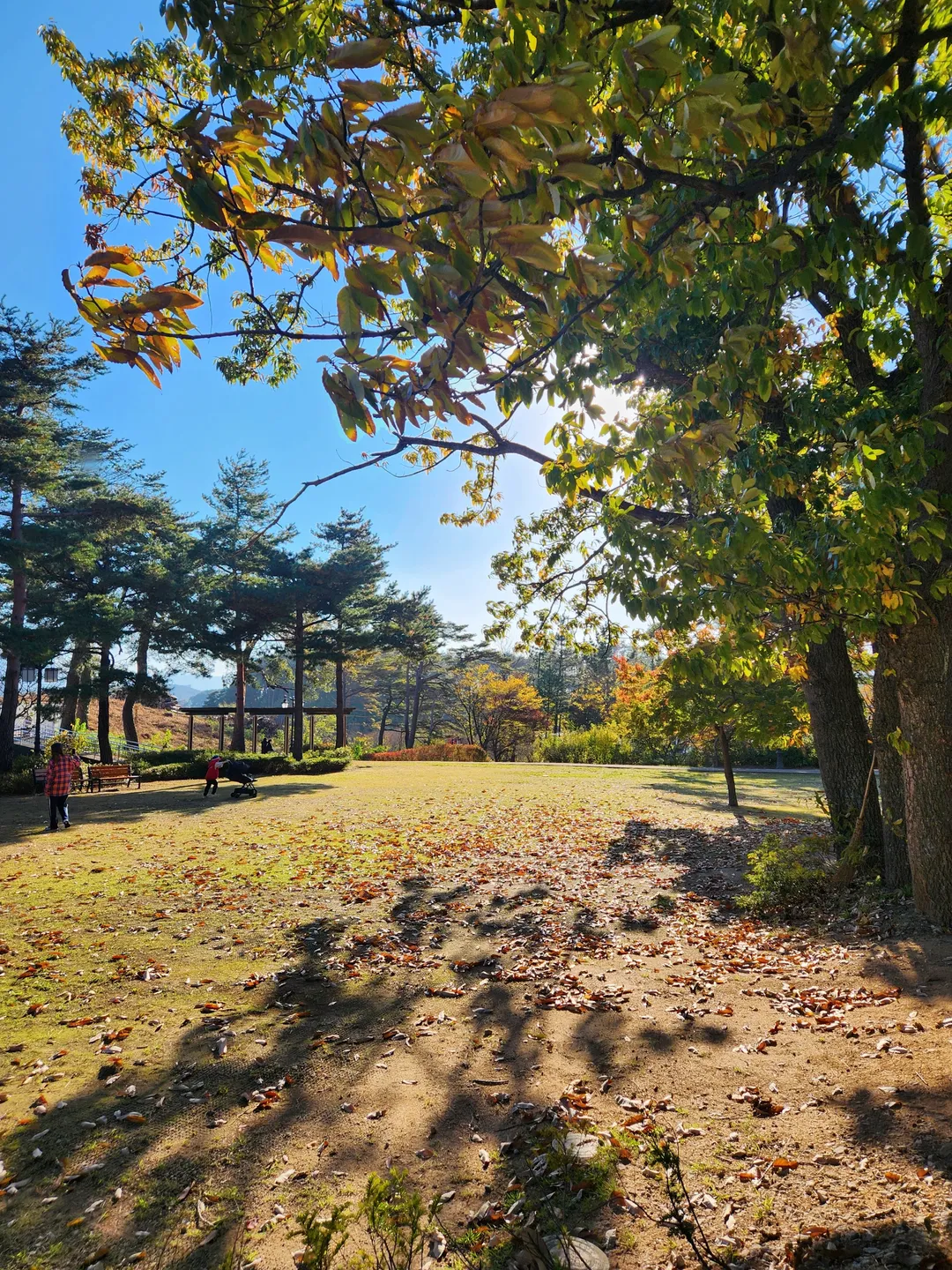 경포대 사진 10