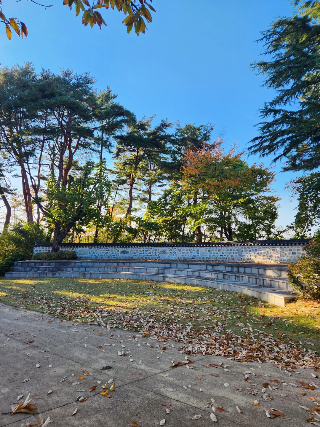 경포대 사진 9