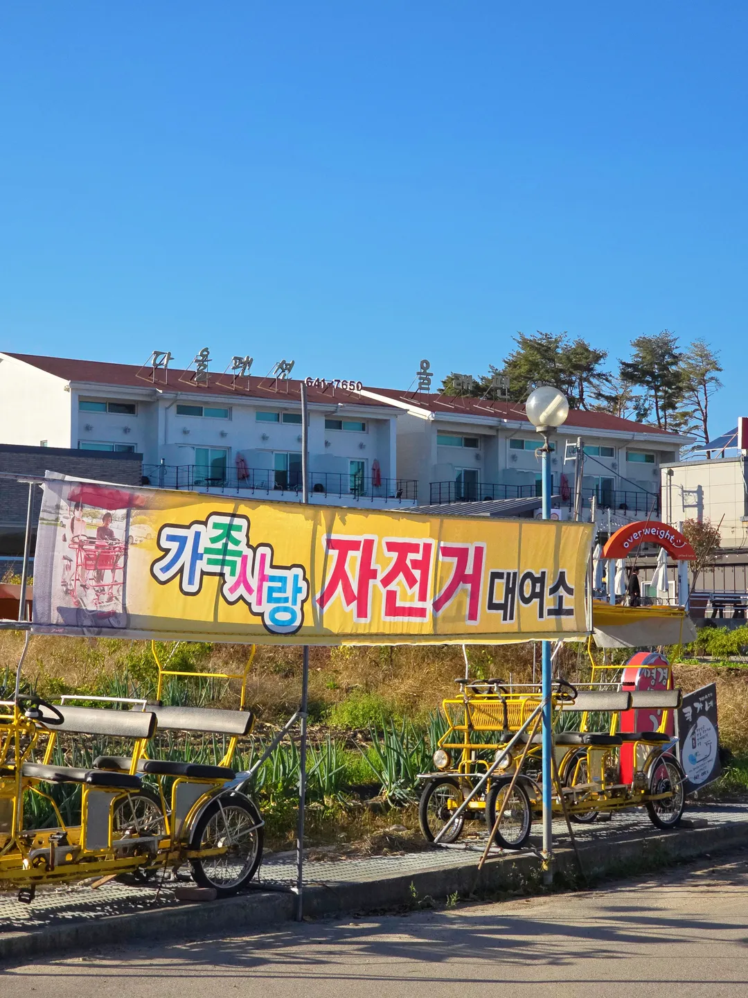 경포대 사진 12