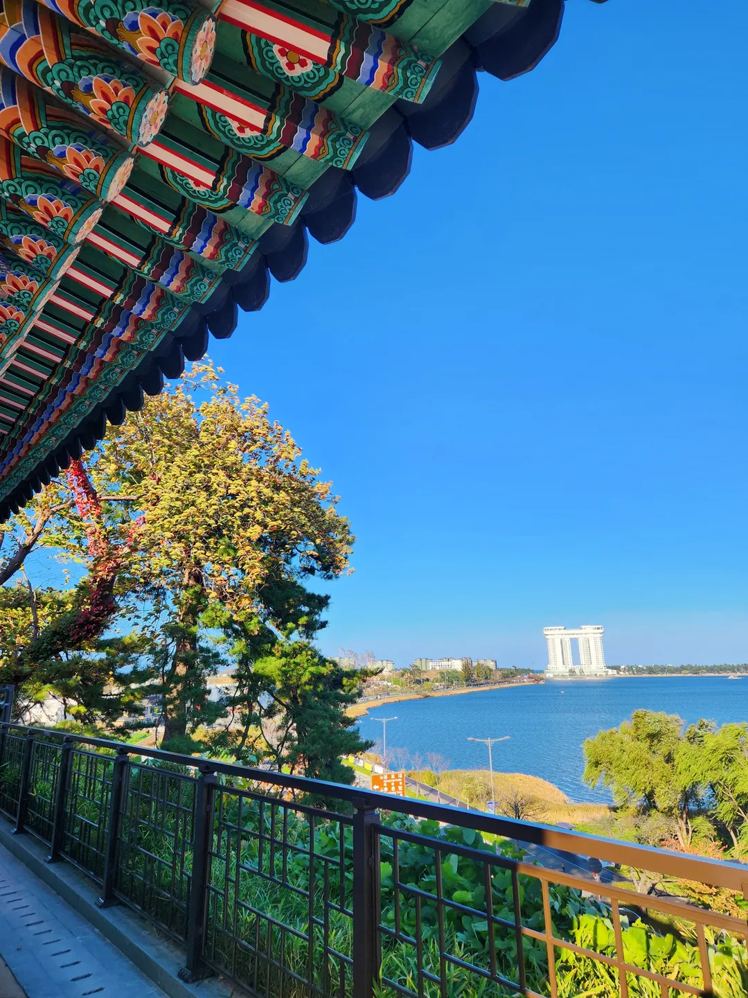 경포대 사진 8