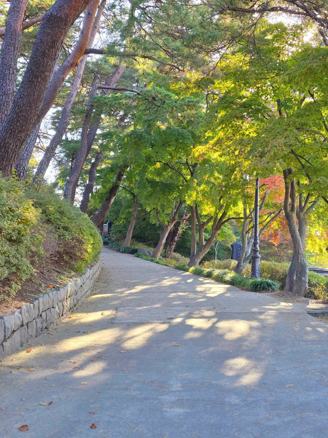 경포대 사진 7