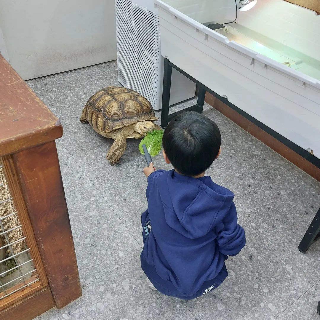 이웃집수달