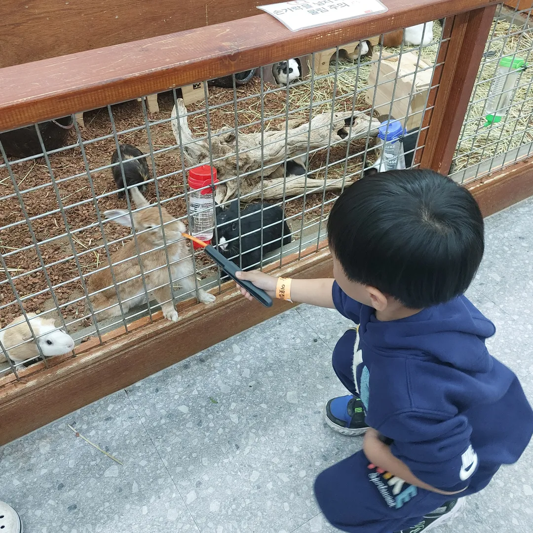 이웃집수달