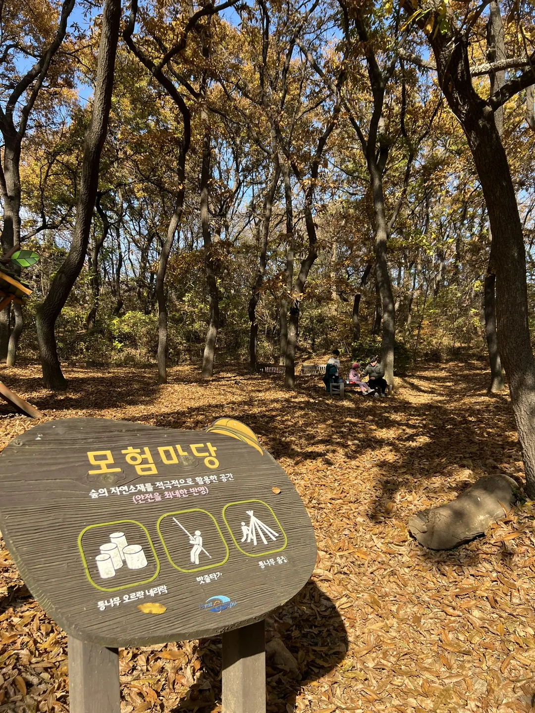 모담공원(유아숲체험장) 사진 17