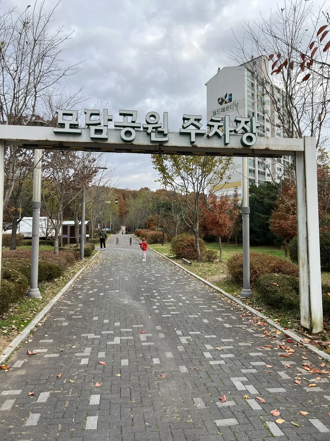 모담공원(유아숲체험장) 사진 18