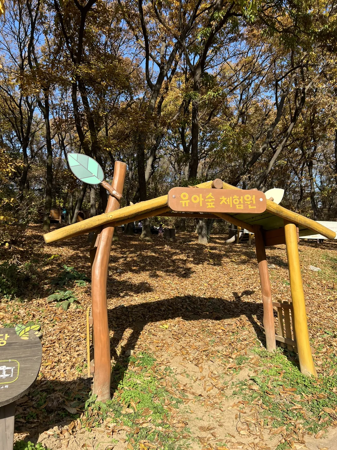 모담공원(유아숲체험장) 사진 16