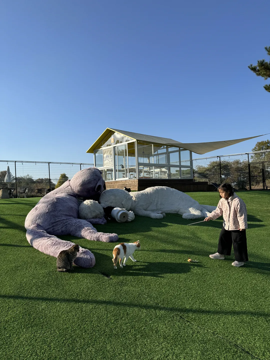고양이동산
