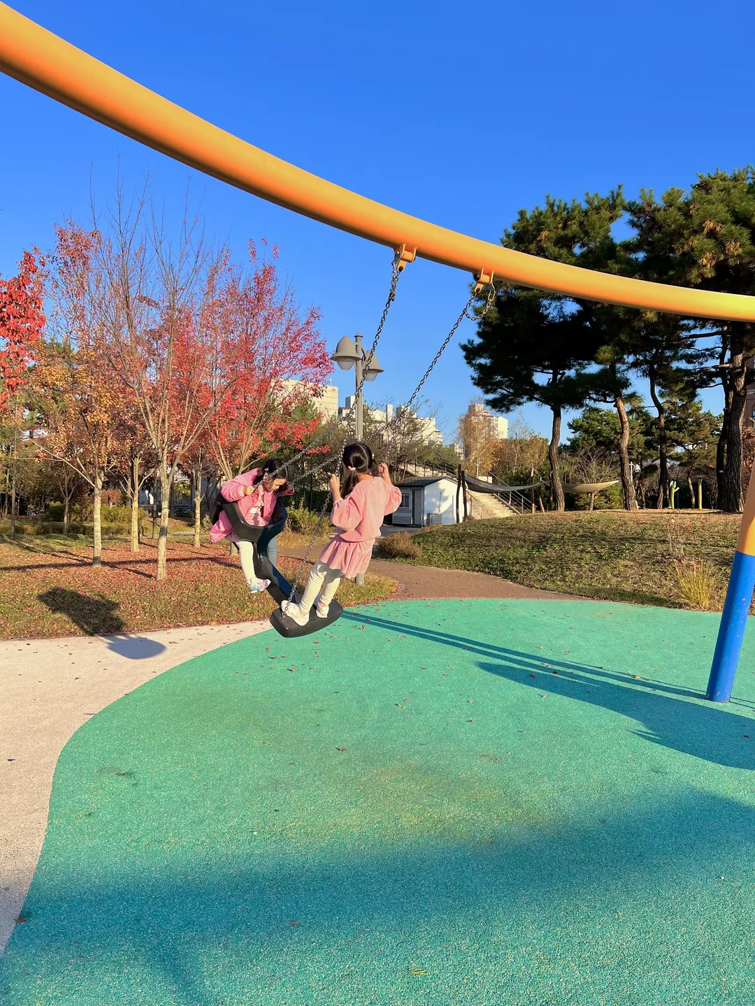 西湖コッモェ公園(森の中の遊び場) 写真 7