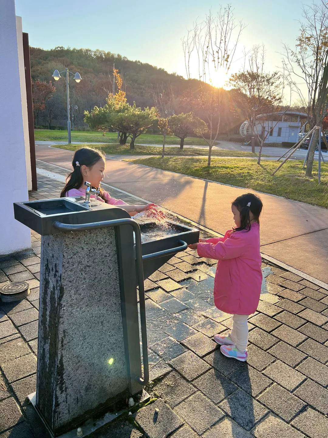 西湖コッモェ公園(森の中の遊び場) 写真 19